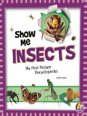 cover image of Show Me Insects
